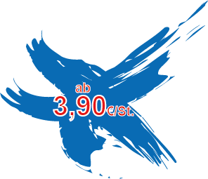 Storer Farbklecks Preis